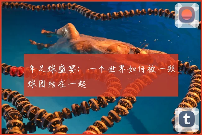 年足球盛宴：一个世界如何被一颗球团结在一起
